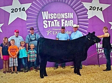 Champion Angus