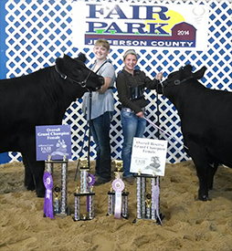 Champion Angus