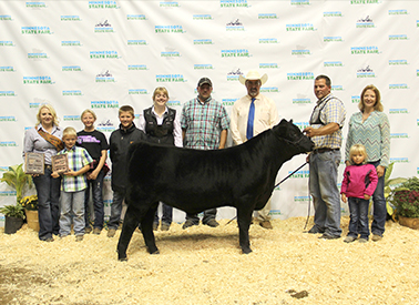 Champion Angus