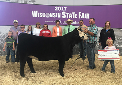 Champion Angus
