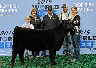 Champion Angus